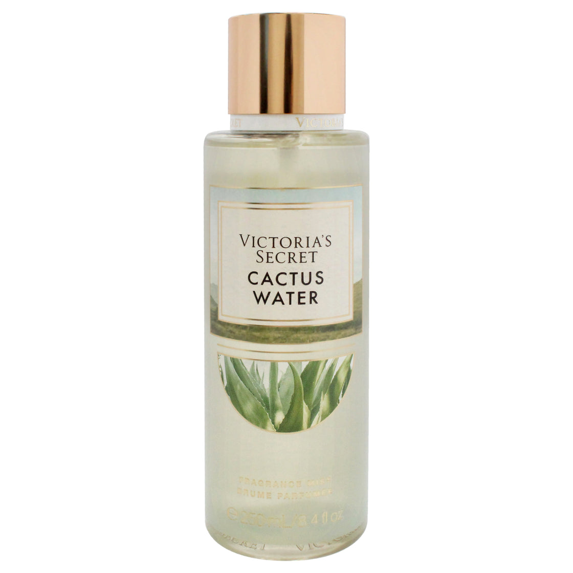 Cactus Water by Victorias Secret for Women - 8.4 oz Fragrance Mist