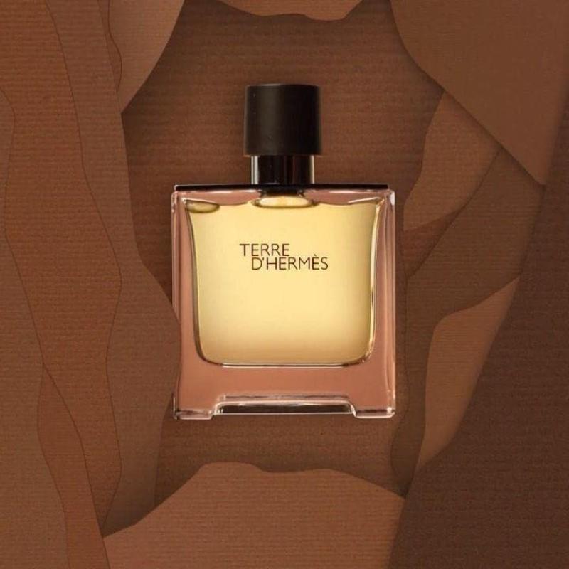 Hermes Terre D'Hermes Eau de Toilette spray for Men, 3.3 Ounce