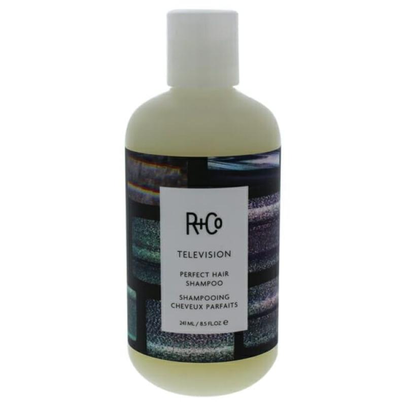 Television Perfect Hair Shampoo by R+Co for Unisex - 8.5 oz Shampoo