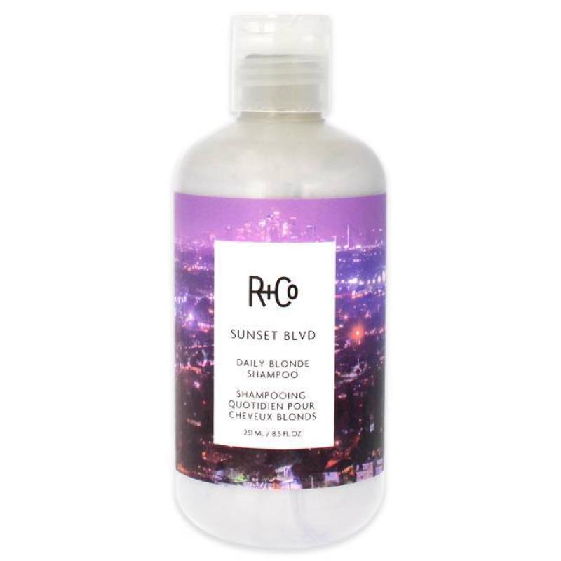 Sunset Blvd Blonde Shampoo by R+Co for Unisex - 8.5 oz Shampoo